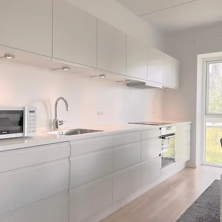 Apartmán Spacious 3 Bedroom With Balcony At Richard Mortensens Vej Kodaň